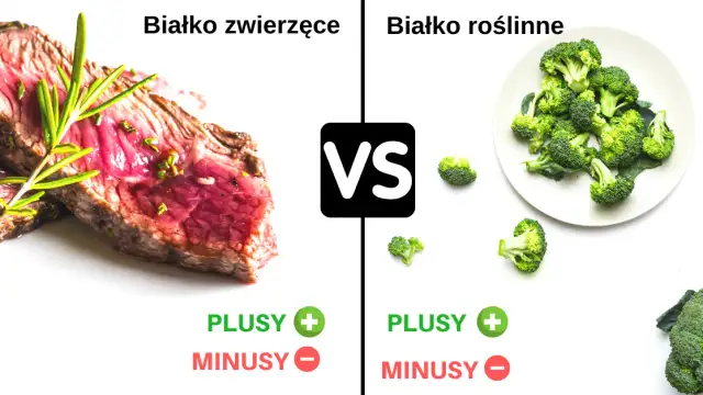 Czy białko roślinne jest pełnowartościowe? Odkryj prawdę o aminokwasach