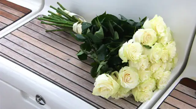 Co oznacza biała róża na pogrzebie? Symbolika, która porusza serce