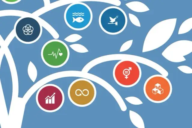 Edukacja dla zrównoważonego rozwoju: klucz do lepszej przyszłości