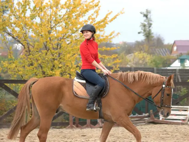 Zimowe skarpety jeździeckie: Jak wybrać idealne i nie marznąć?
