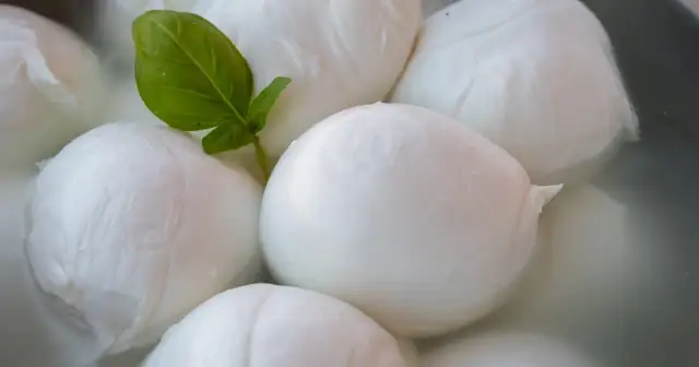 Czy mozzarella jest tłusta? Sprawdź fakty i kalorie!