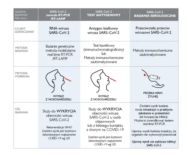 Badanie PCR: Co to jest i dlaczego to złoty standard diagnostyki?