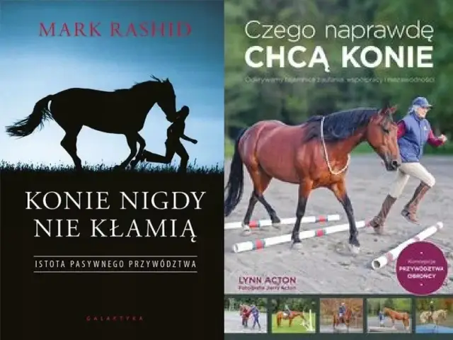 Czego naprawdę chcą konie? Odkryj ich potrzeby emocjonalne i społeczne