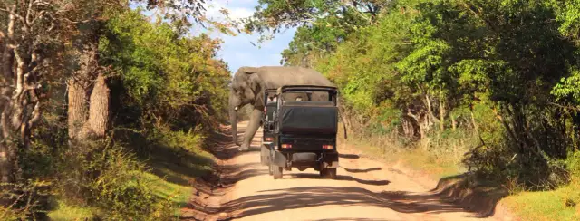 Czy na Sri Lance jest bezpiecznie? Odkryj aktualne zagrożenia i porady