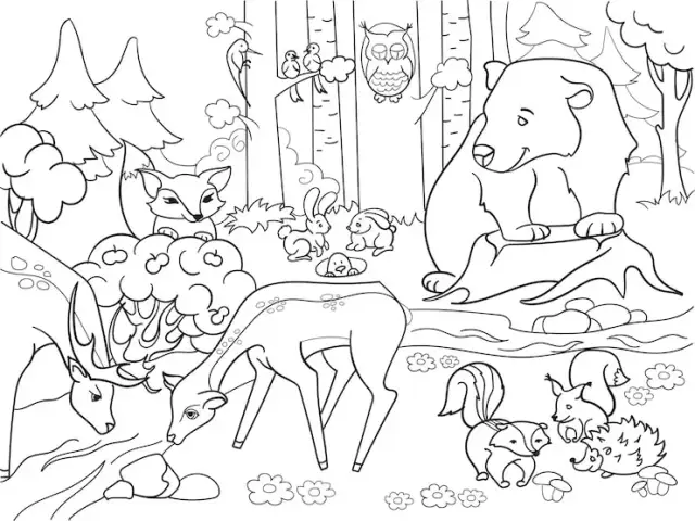Kolorowanki ze zwierzętami, które rozweselą każde dziecko i uczą