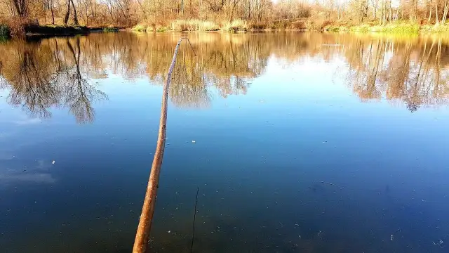 Jak zrobić wędkę z gałęzi? Odkryj radość łowienia DIY!