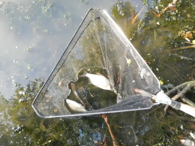 Zezwolenia RZGW Bydgoszcz: Jak uniknąć problemów z wędkowaniem