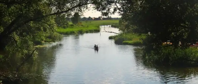 Ile rzek wpływa do Bałtyku i dlaczego to ma znaczenie dla ekosystemu
