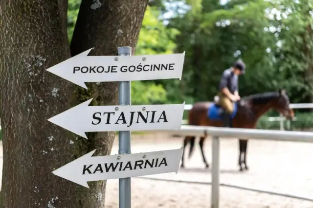 Cennik stadnin koni w Krakowie – sprawdź ceny i oferty jazdy konnej