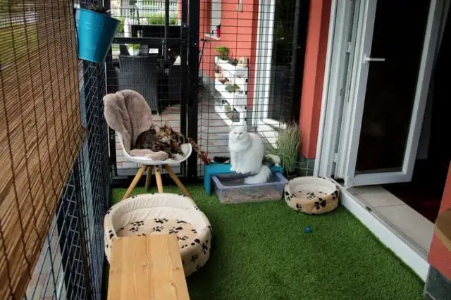 Jak zabezpieczyć okno przed kotem, aby uniknąć niebezpieczeństwa?