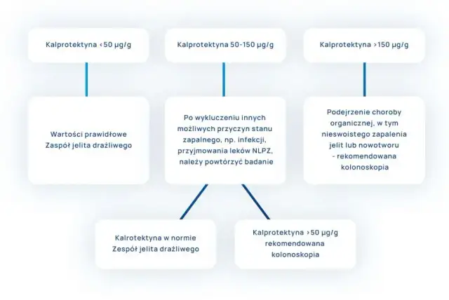 Wysoka kalprotektyna w kale: Co to oznacza dla twojego zdrowia?