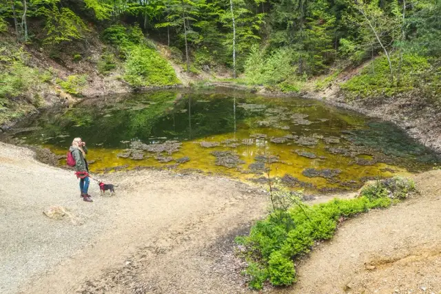 Kolorowe jeziorka - kiedy najlepiej jechać, by uniknąć tłumów?