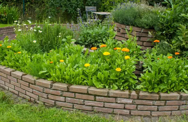 Obrzeża ogrodowe: wybierz idealny materiał poradnik krok po kroku