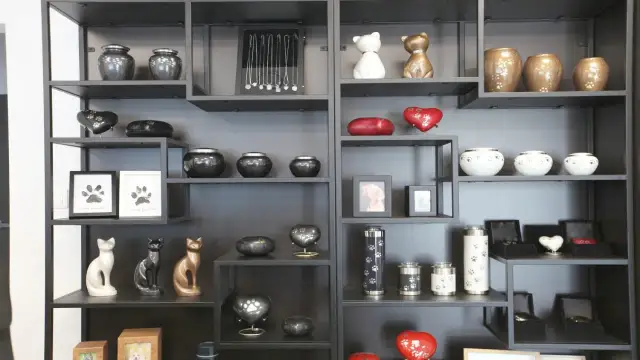 Na półkach stoją urny, serca i pamiątki dla zwierząt. Dowiedz się, ile kosztuje kremacja psa i jak wybrać odpowiednią urnę.