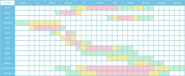 Co teraz pyli w Szczecinie? Sprawdź, jak uniknąć alergii
