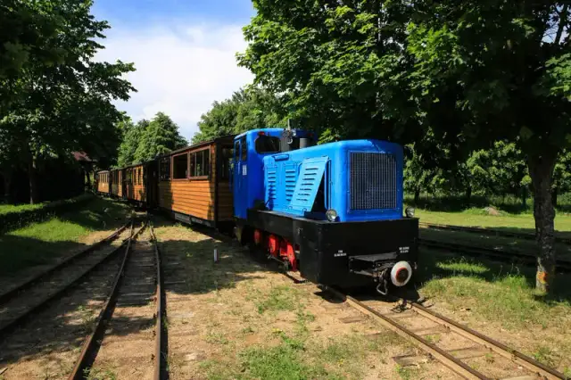 Najciekawsze atrakcje w Hajnówce, które musisz zobaczyć