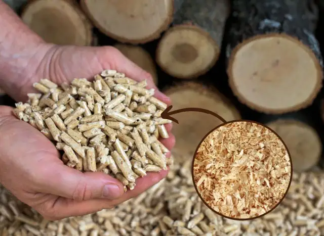 Jak zbudować peleciarkę DIY? Kompletny przewodnik krok po kroku