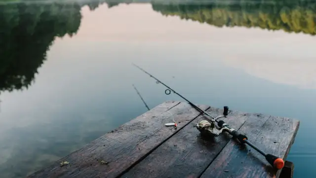Jaką wędkę teleskopową na spławik wybrać, aby nie żałować?