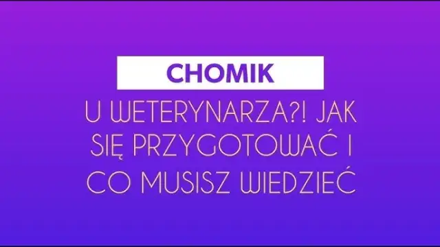 Czy z chomikiem chodzi się do weterynarza i co powinieneś wiedzieć?
