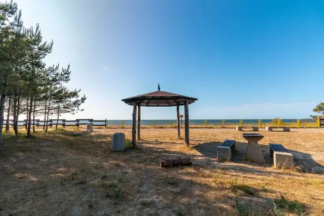 Najlepsze atrakcje w Mrzeżynie, które musisz zobaczyć podczas wizyty