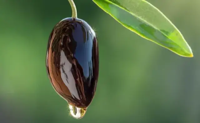 Czy oliwa z wytłoczyn jest zdrowa? Odkryj jej ukryte zagrożenia i korzyści