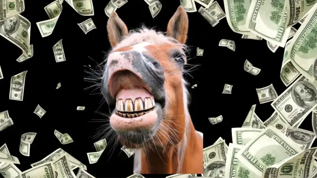 Ile kosztuje weterynarz dla konia? Poznaj ukryte wydatki i oszczędności