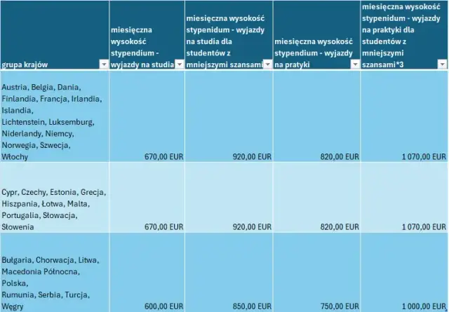 Erasmus praktyki po studiach: Jak zdobyć stypendium i doświadczenie?