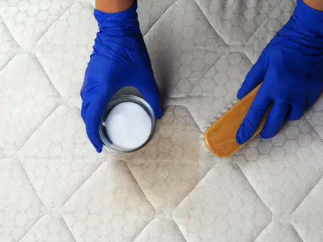 Jak wyczyścić materac domowymi sposobami? Pozbądź się plam i roztoczy