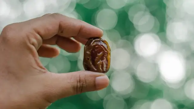 Czy pies może jeść daktyle? Sprawdź, jakie mogą być skutki!