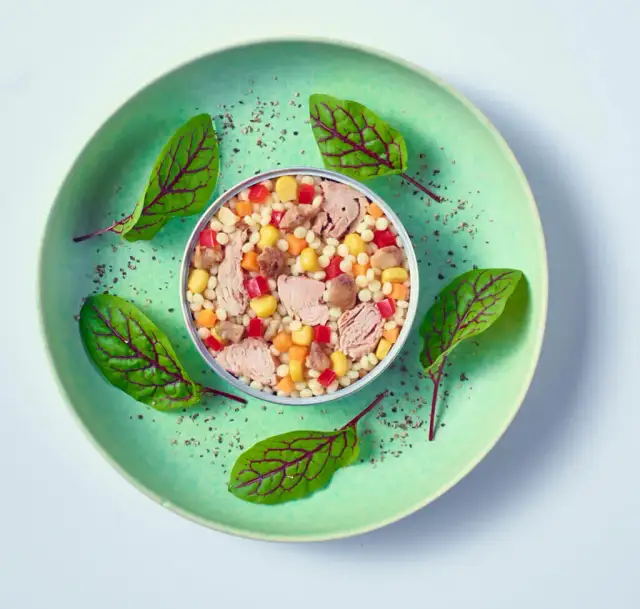 Gdzie kupić gotowe sałatki? Odkryj najlepsze miejsca w Polsce