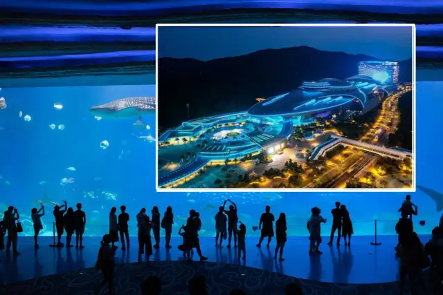 Największe oceanarium świata: Chimelong i podwodni giganci