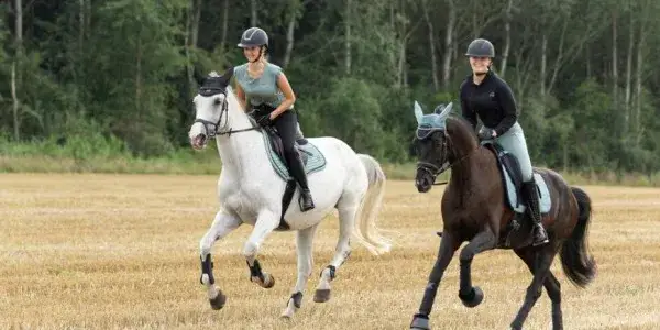 Jak wybrać idealny pasek jeździecki: materiały, style i porady