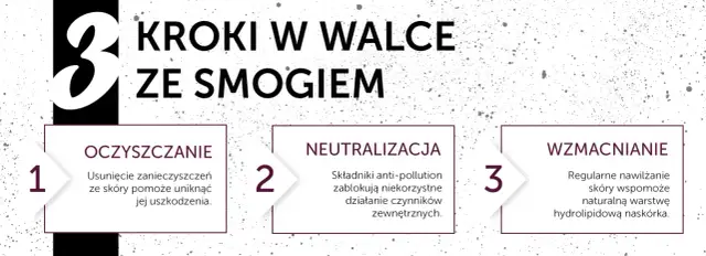 Jak skutecznie zgłosić smog? Poradnik krok po kroku