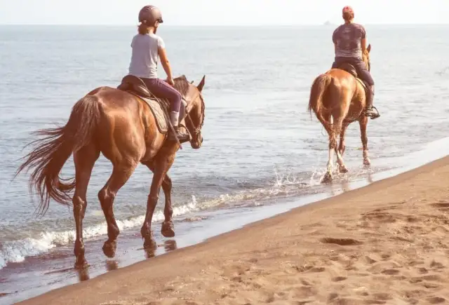 Stadniny koni nad morzem: idealne miejsca na wakacje z końmi