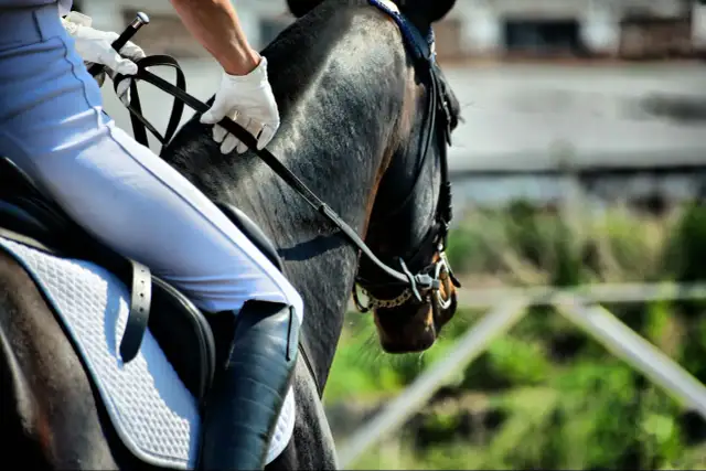 Odznaka Jeżdżę Konno: Jak zdać? Poradnik krok po kroku PZJ