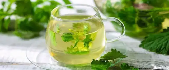 Alergia: Co na nią działa? Leki, domowe sposoby, pełna ulga.