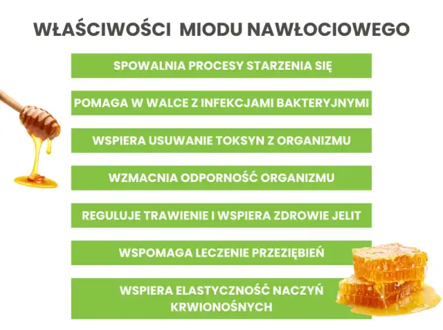 Miód nawłociowy na co pomaga i jak może poprawić zdrowie