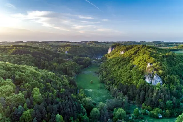 Malownicza Dolina Będkowska skąpana w zieleni, z wapiennymi skałami wznoszącymi się pośród drzew.