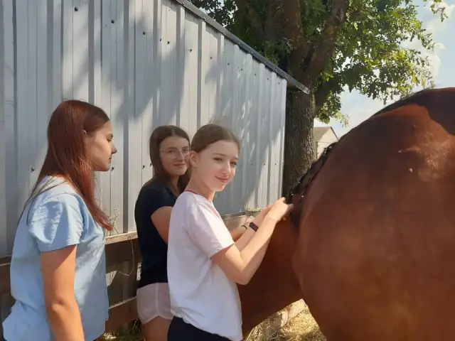 Stajnia Ikona Jeździectwa: Kompletny przewodnik po ośrodku w Stokach