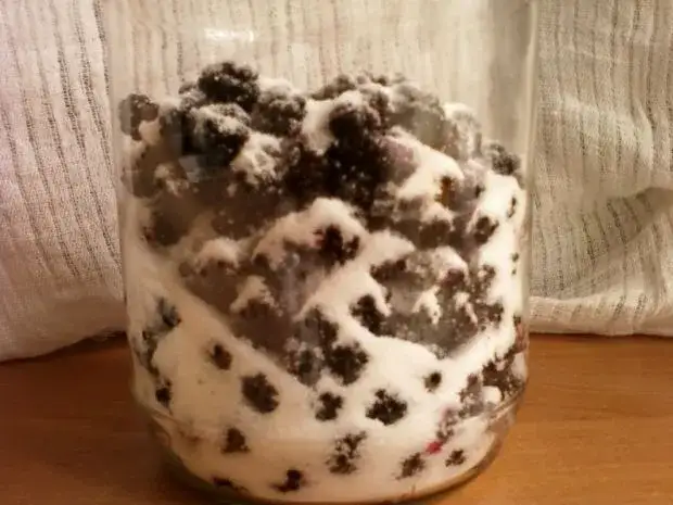 Jak przygotować nalewkę jeżynową: Krok po kroku – łatwy przepis w domu