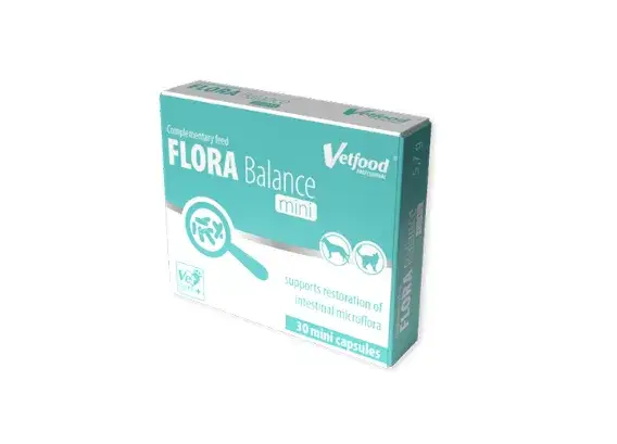 Jak acid balance dla psa może pomóc w problemach trawiennych?