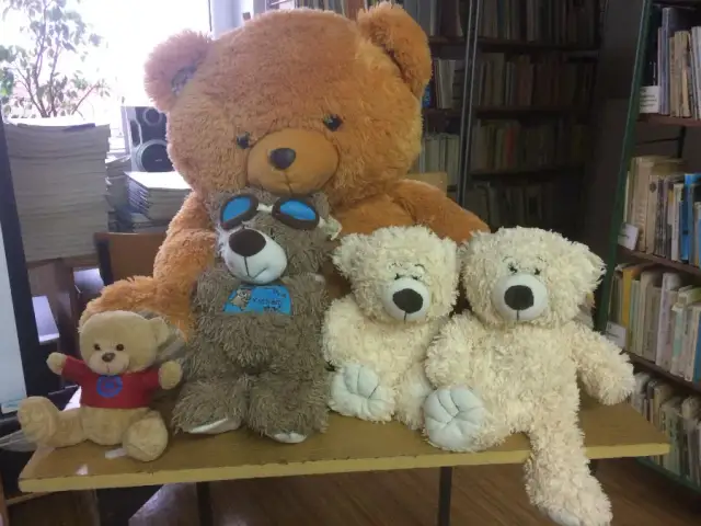 Kiedy jest święto pluszowego misia? Poznaj datę i historię tego dnia