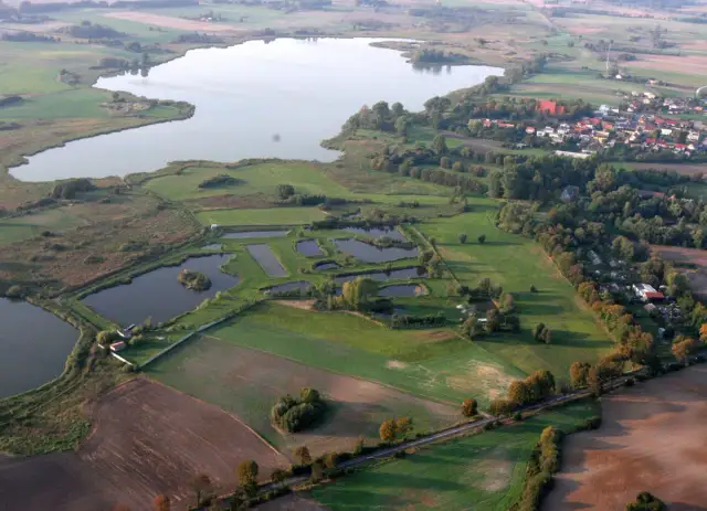 Złota rybka łowisko: najlepsze miejsca na wędkowanie w Polsce