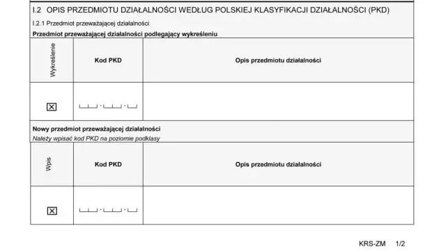 EKD i PKD - co to jest i dlaczego jest to ważne dla firm?