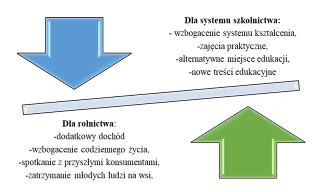 Zagroda edukacyjna: Jak założyć i odnieść sukces? Kompletny poradnik
