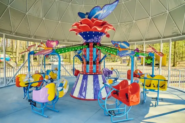 Najlepsze atrakcje w Zalesiu Górnym, które musisz odwiedzić tej wiosny