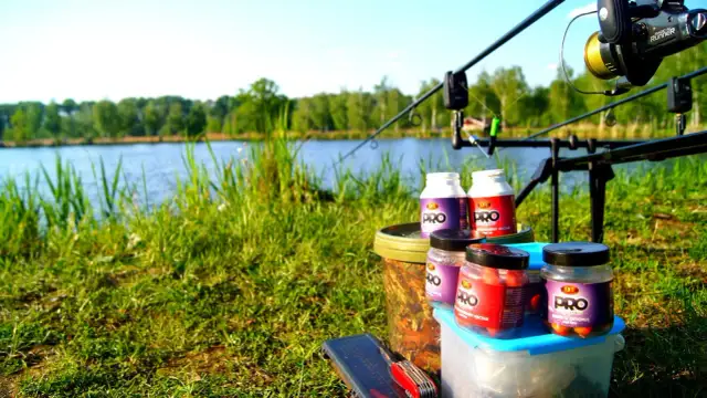 Łowisko Bażyna - odkryj najlepsze miejsca na wędkowanie i relaks