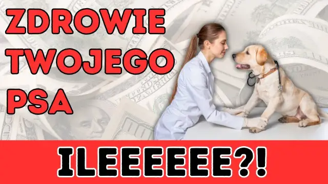 Kroplówka dla psa: Koszt, wskazania i jak oszczędzić na leczeniu?