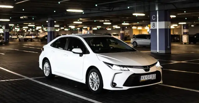 Co ludzie najczęściej wypożyczają? Odkryj popularne wynajmy i trendy