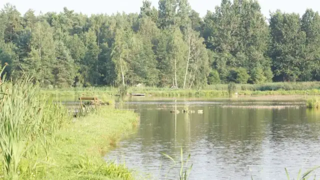 Łowisko nad Rozlewiskiem: Czy to Twój wędkarski raj? Pełny przewodnik